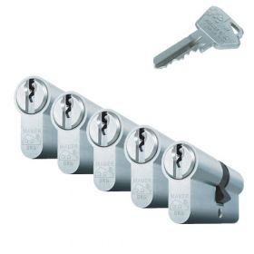 Mauer Standaard SKG2 - 5 cilinders met 15 sleutels